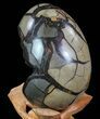 Septarian Dragon Egg Geode - Black Crystals #72064-3
